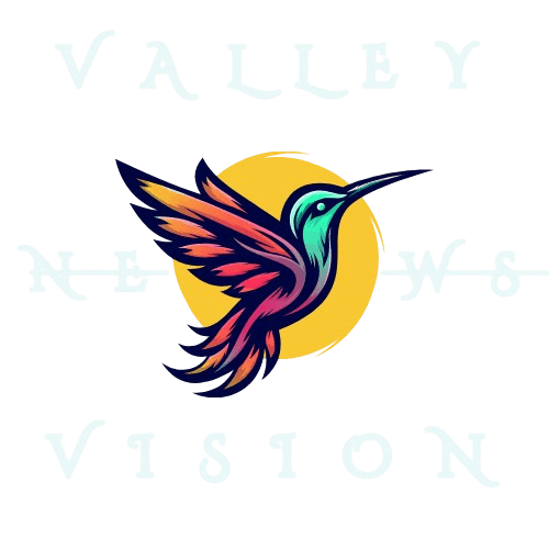 VALLEY VISION NEWS