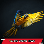 VALLEY VISION NEWS 1